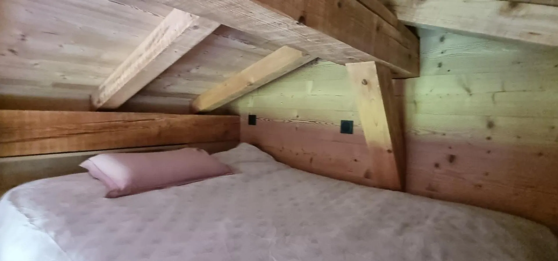 סרווז Cabane Dans La Vallee De Chamonix 0*,